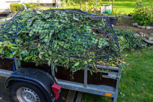  Waverly, MN Junk Removal Pros